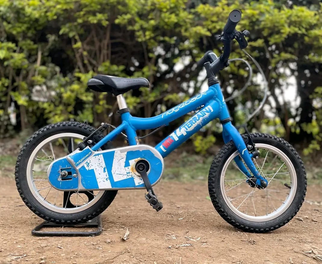 Size 12 bike image 2