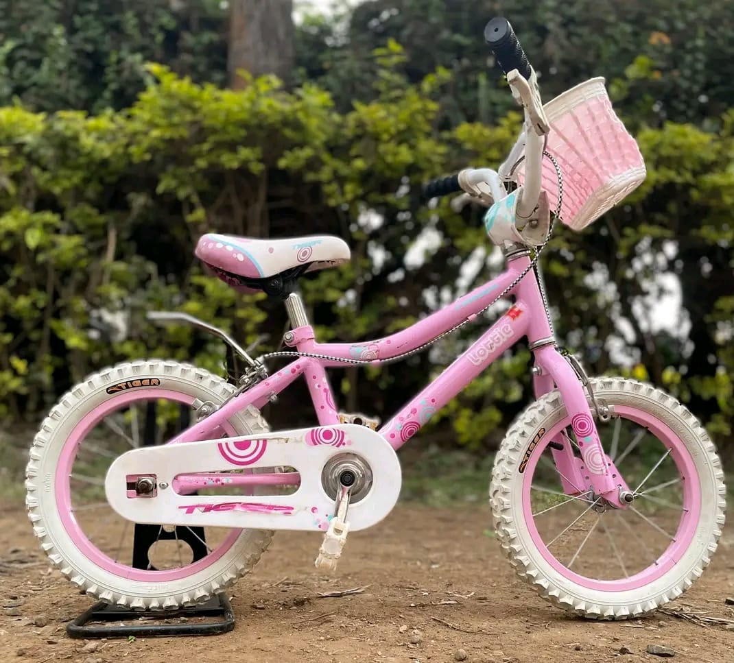 Size 12 bike image 3