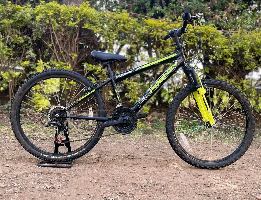 Size 20 bike image 2