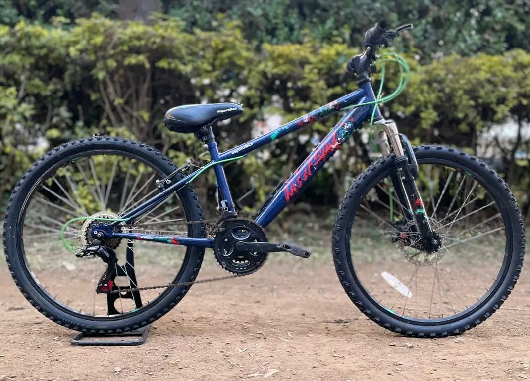 Size 22 bike image 2