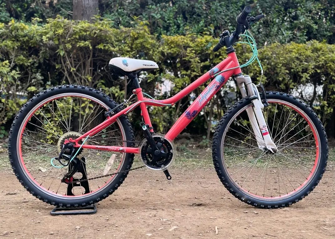 Size 22 bike image 4