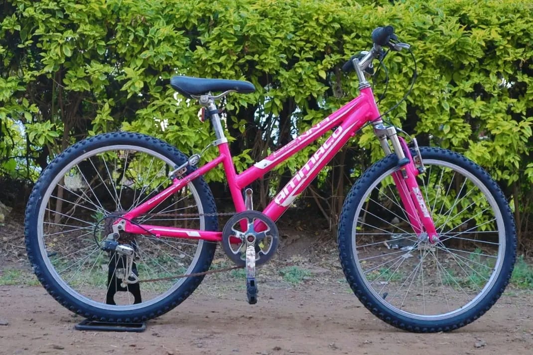 Size 24 bike image 4