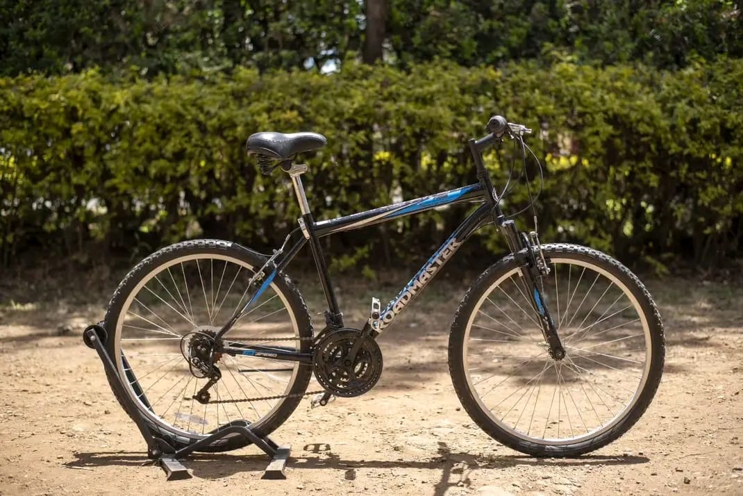 Size 29 bike image 3